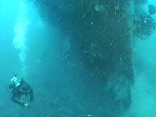 The bow